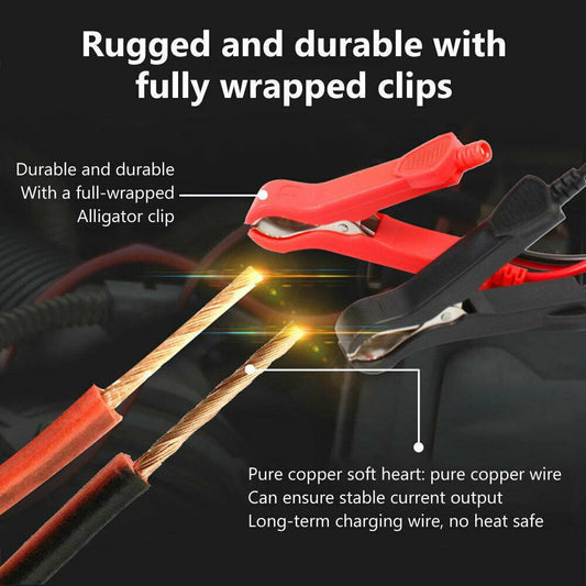 car battery tickler car battery trickle